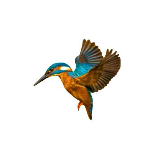 Kovalam Travels logo